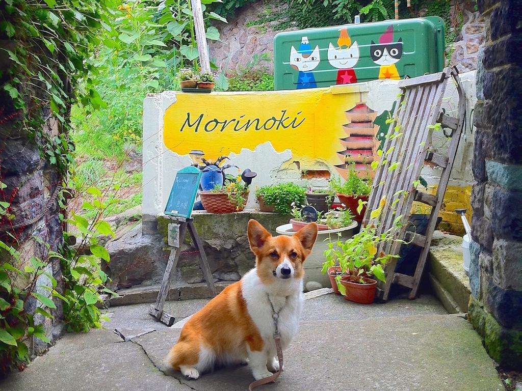 The Otaornai Backpacker'S Hostel Morinoki Οτάρου Εξωτερικό φωτογραφία
